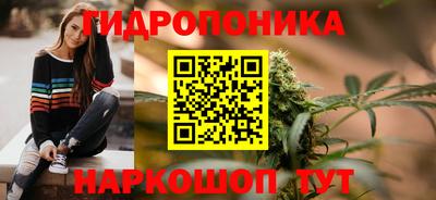 СК Краснознаменск